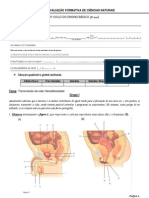 Teste- transmissão da vida e hereditariedade