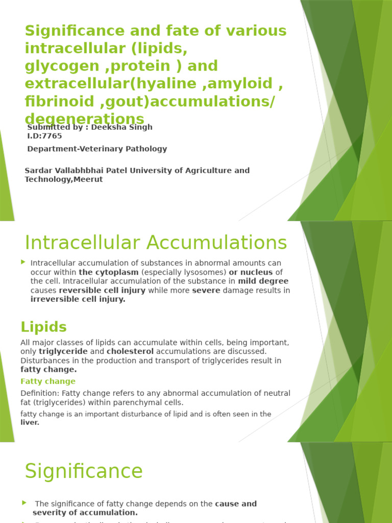 Significance and Fate of Various Intracellular (Lipids | PDF | Gout | Liver