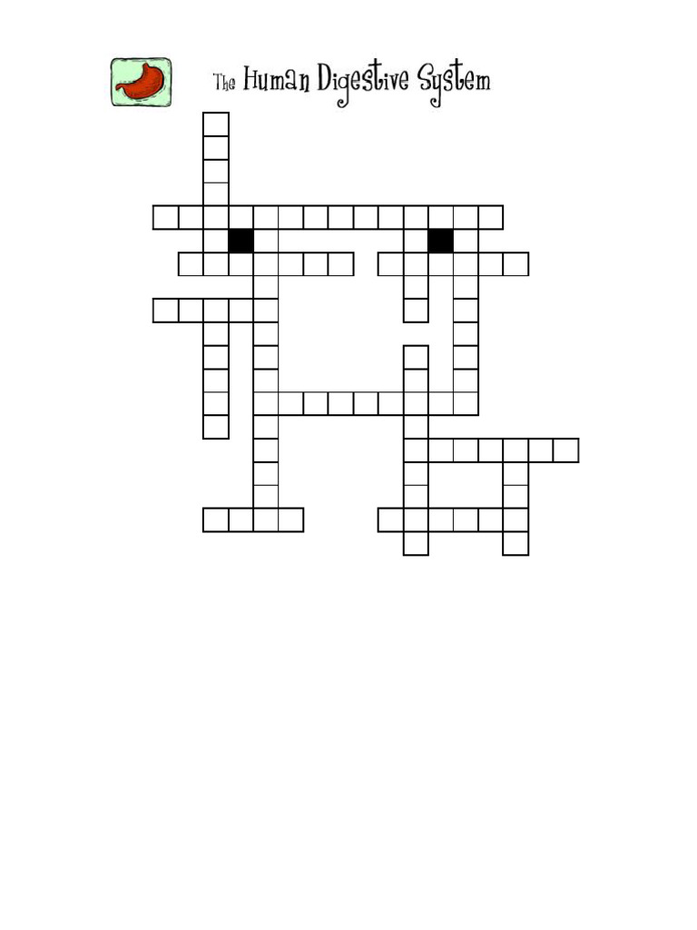 Digestive System Crossword Puzzle | PDF