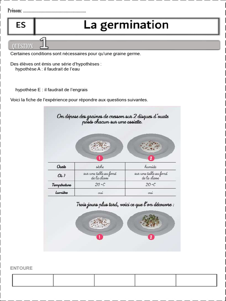 Conditions de germination des graines | PDF | Germination | Graine