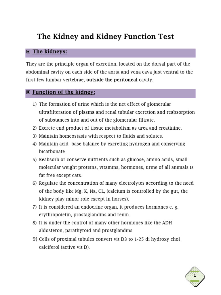 Kidney Function and Pathology Overview | PDF | Kidney | Creatinine