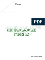50541140 Audit Financiar Contabil Studii de Caz Licenta Nn
