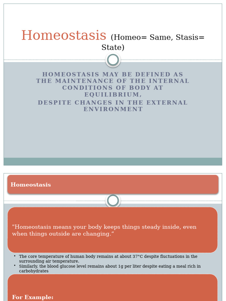 Homeostasis | PDF | Kidney