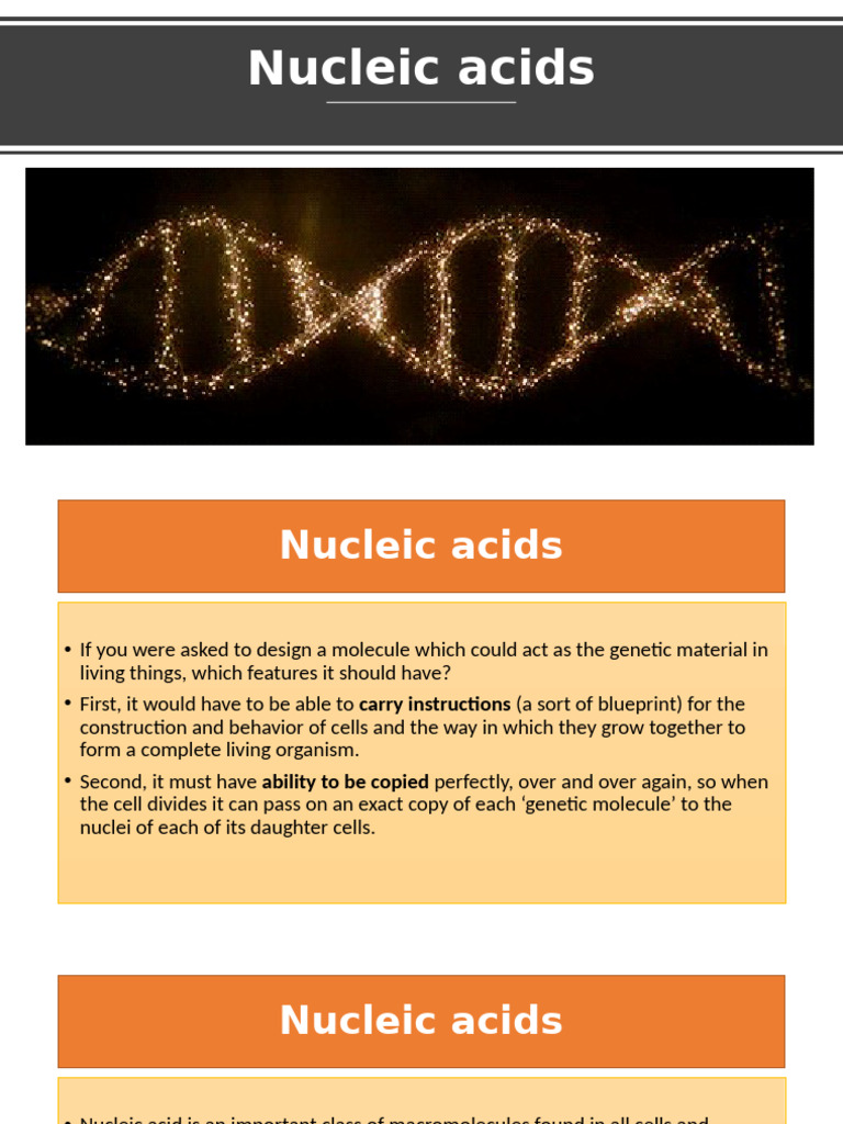The Nucleic Acids | PDF | Translation (Biology) | Nucleotides