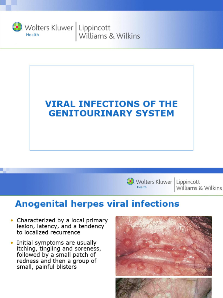 Genitourinary Viral and Bacterial Infections | PDF | Urinary Tract ...
