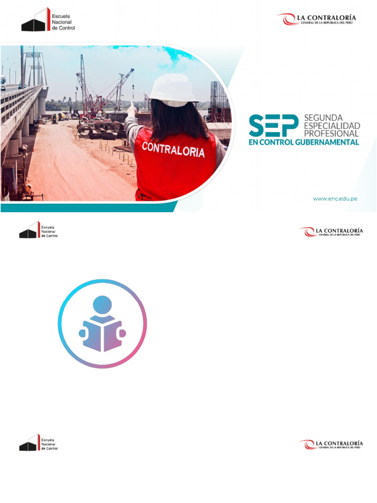 Evidencia en el Control Gubernamental | PDF | Auditoría | Contralor