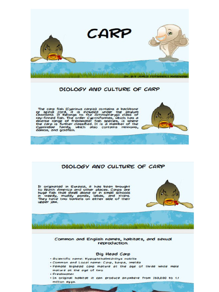 CARP PPT IM | PDF