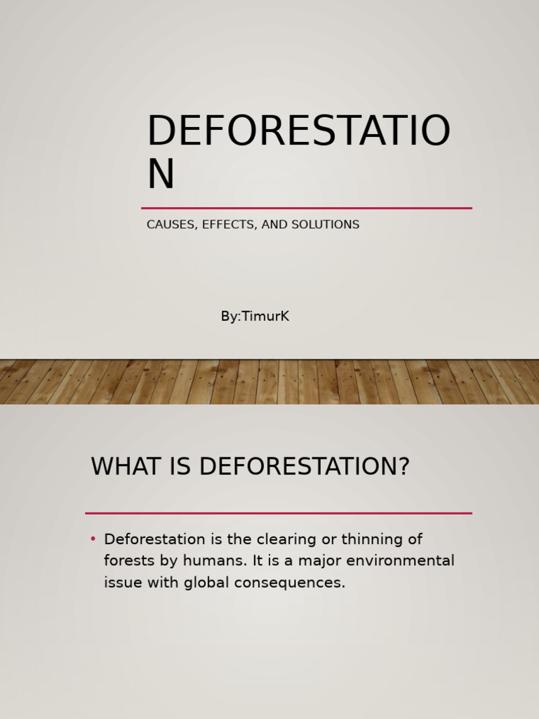 Deforestation Presentation8389l1999 | PDF