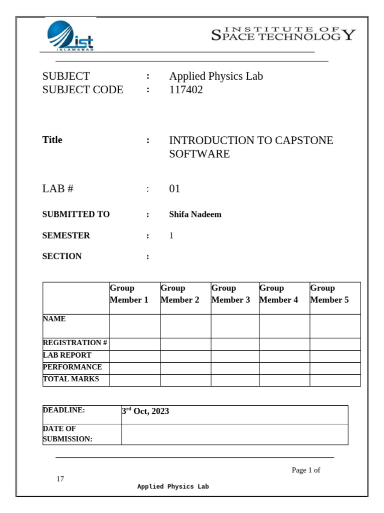 Capstone Software Lab Report Guide | PDF