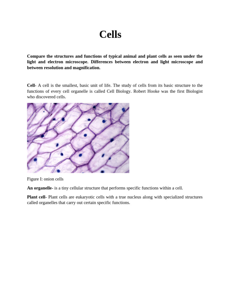 Comparing Animal and Plant Cells Microscopy | PDF | Microscope | Cell ...