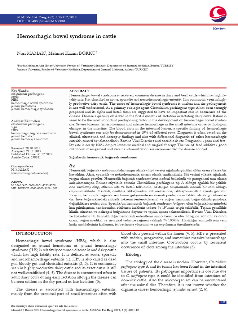 Hemorrhagic Bowel Syndrome in Cattle | PDF | Gastrointestinal Tract ...
