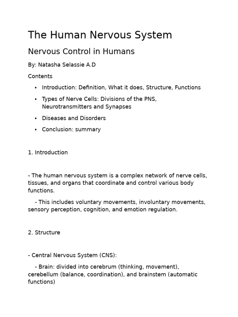 Overview of the Human Nervous System | PDF | Nervous System | Central ...