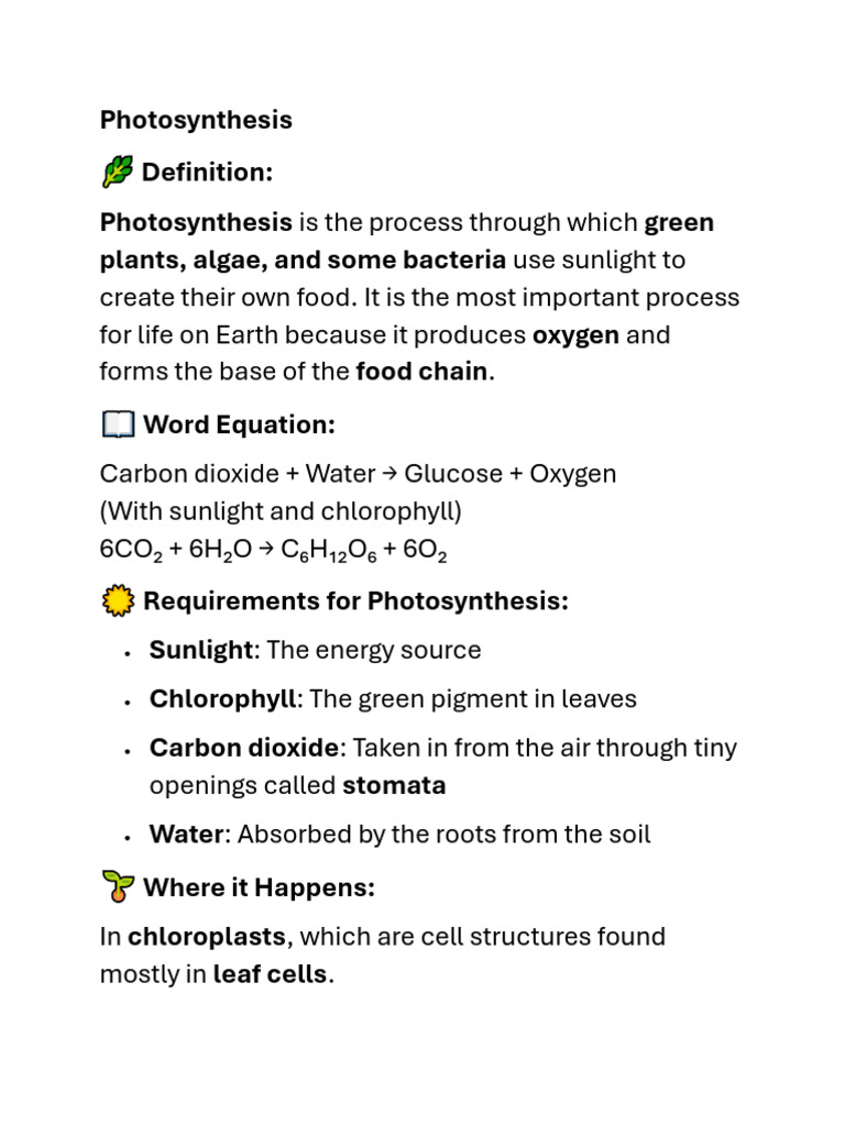 Understanding Photosynthesis Process | PDF