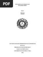 Download Rinaldi 100306003 Penampungan Semen Dan Sni Semen Beku by Rinaldy Manurung SN85724478 doc pdf