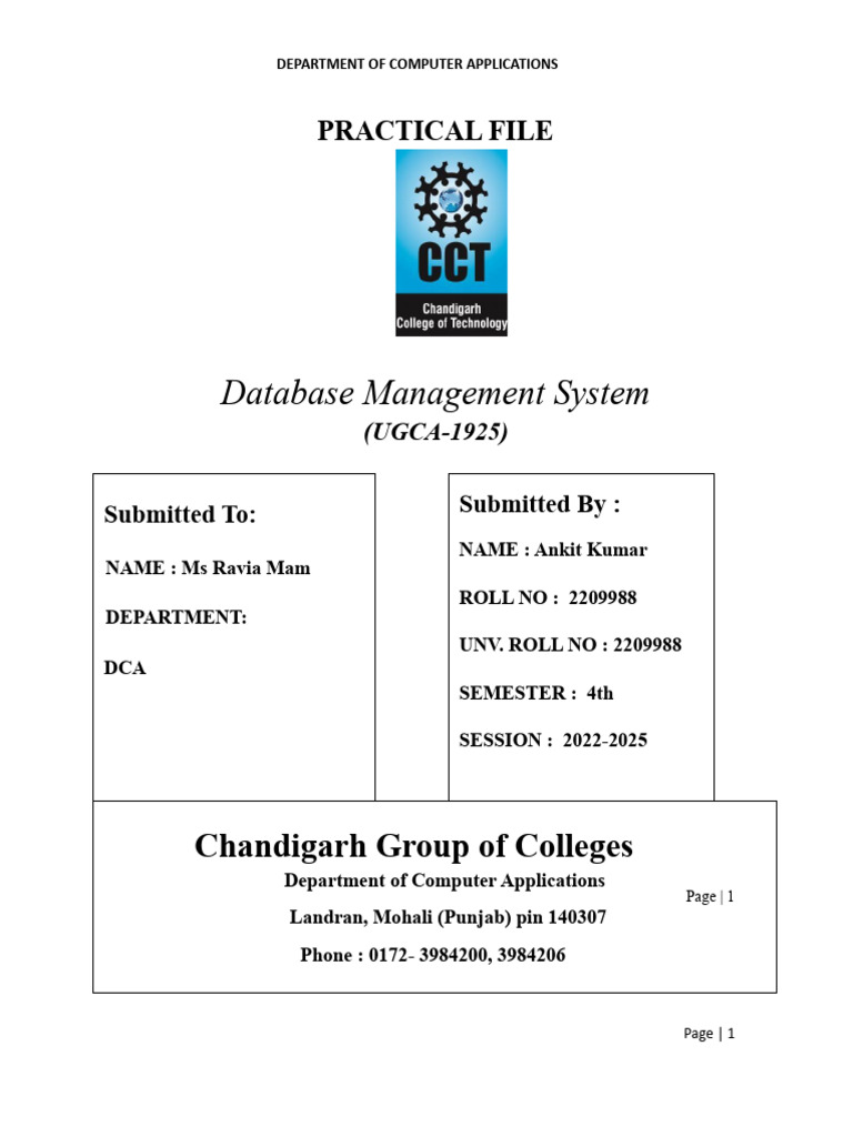 Database Management System Practical File | PDF