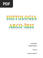 Histologia [Sebenta Arco íris 2010-2011] Jorge Santos e Mariline Oliveira