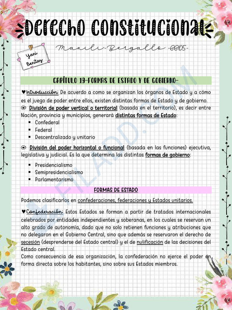 Manili Cap 19 | PDF | Federación | Gobierno