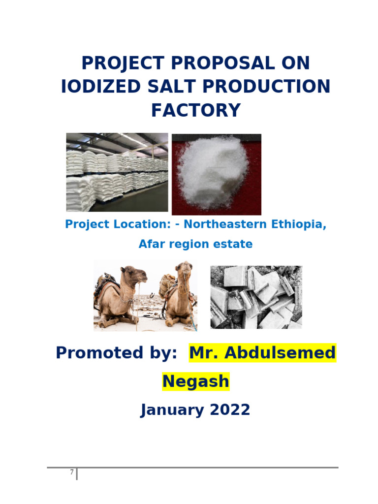 Iodized Salt Production Project in Ethiopia | PDF