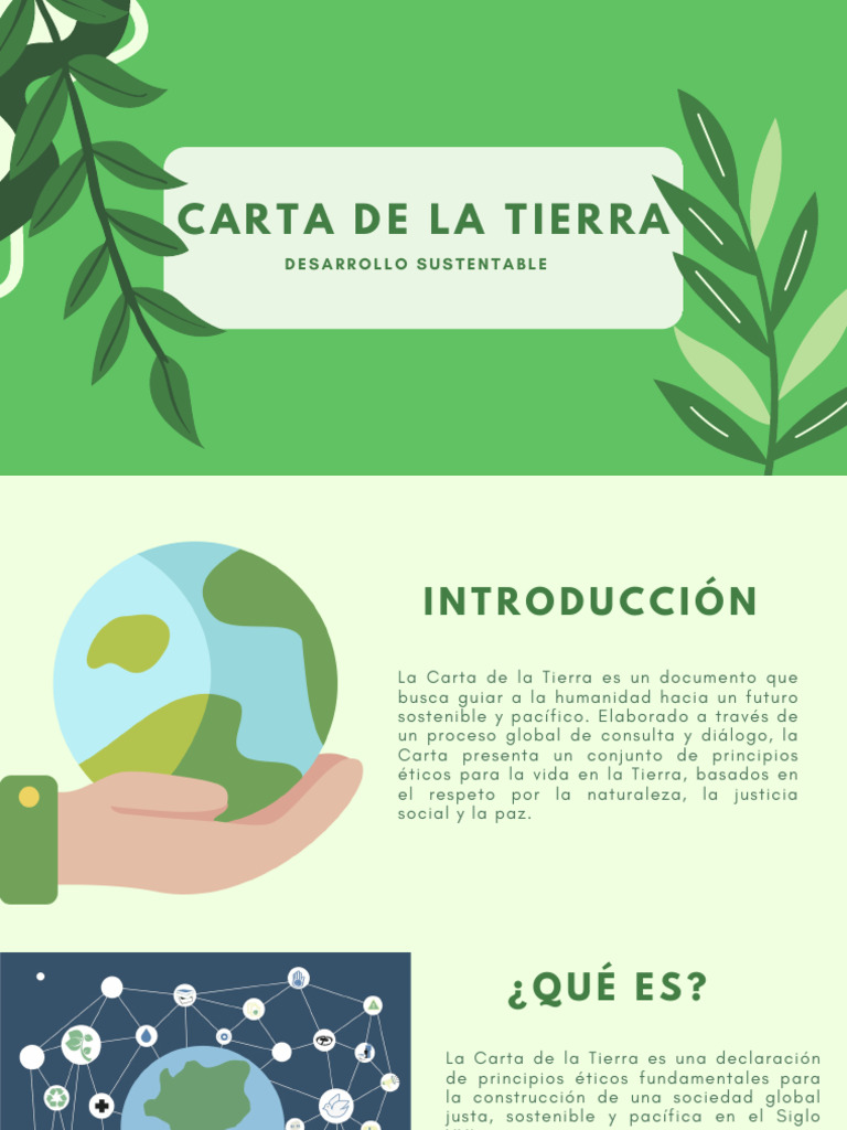 Principios de la Carta de la Tierra | PDF | Sustentabilidad | Ciencias ...