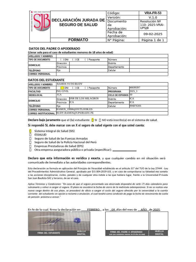 Declaración Jurada de Seguro de Salud | PDF