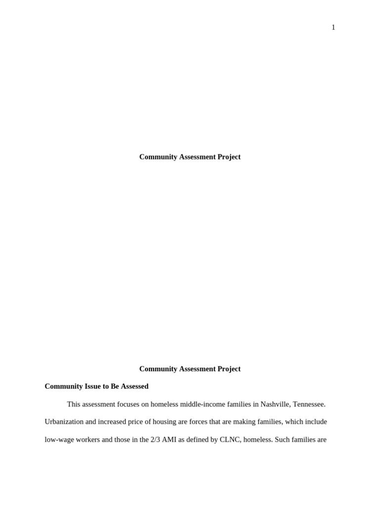 Community Assessment Project | PDF | Homelessness | Affordable Housing