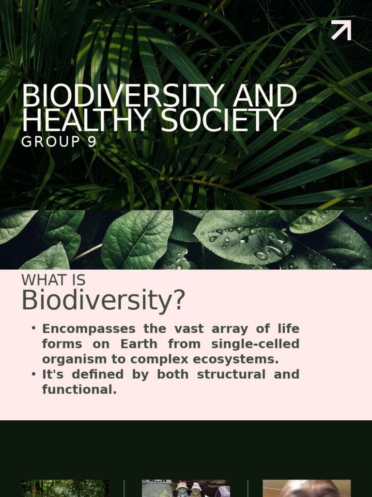 Understanding Biodiversity's Impact | PDF | Biodiversity | Ecosystem
