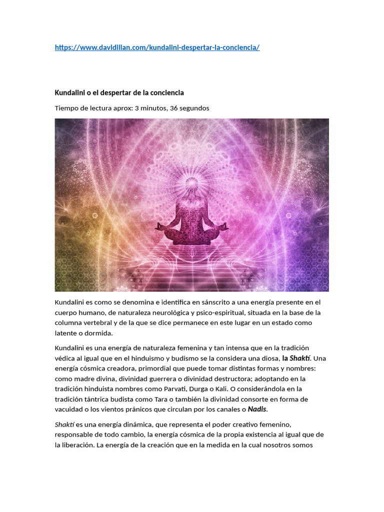 Kundalini o El Despertar de La Conciencia | PDF | Chakra