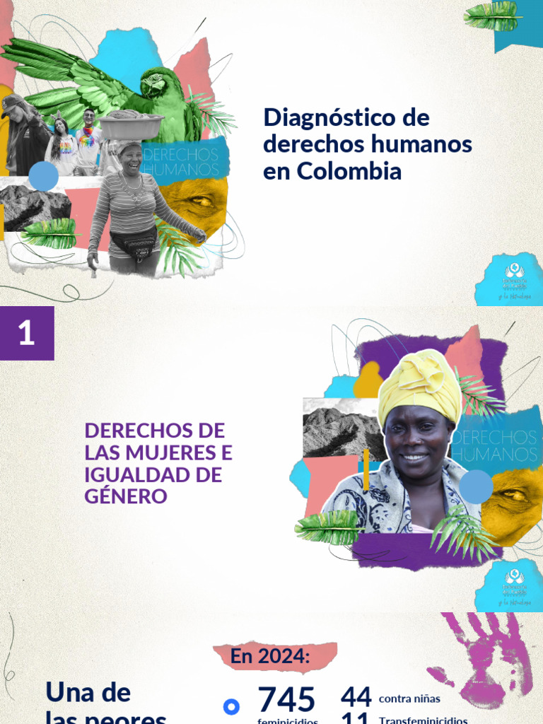Crisis de Derechos Humanos en Colombia | PDF | Deforestación | Colombia