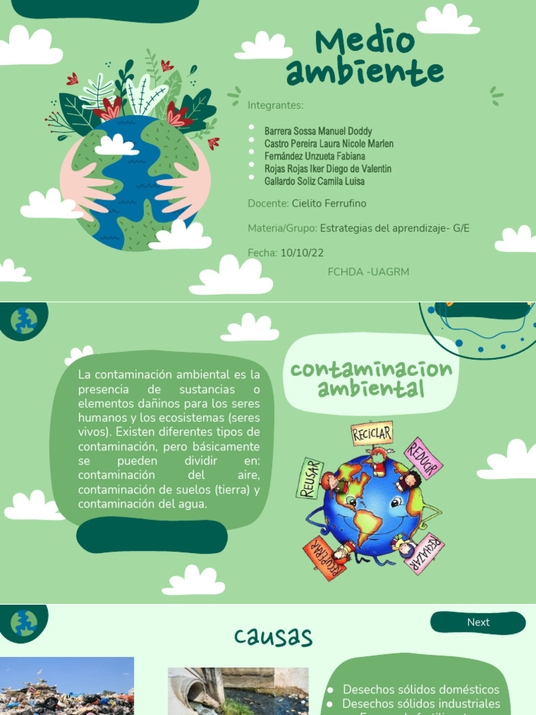 Medio Ambiente | PDF | Contaminación | Entorno natural