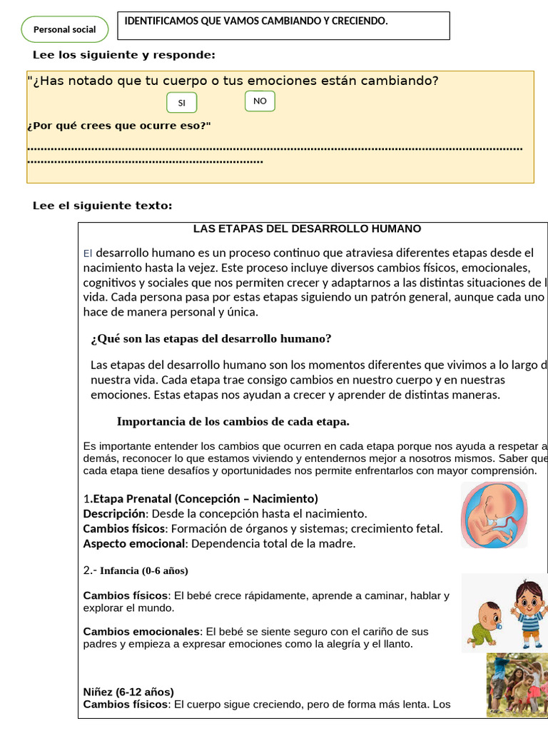 Ficha Las Etapas Del Desarrollo | PDF | Las emociones | Adultos