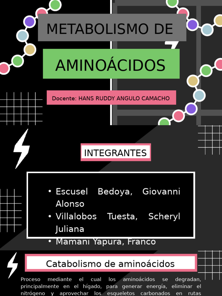 Metabolismo de Los Aminoacidos | PDF | Biofísica Molecular | Metabolismo