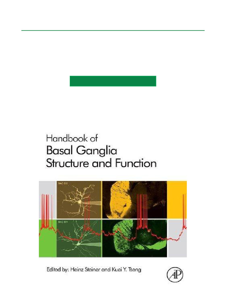 Basal Ganglia Structure and Function Guide | PDF | Basal Ganglia | Striatum