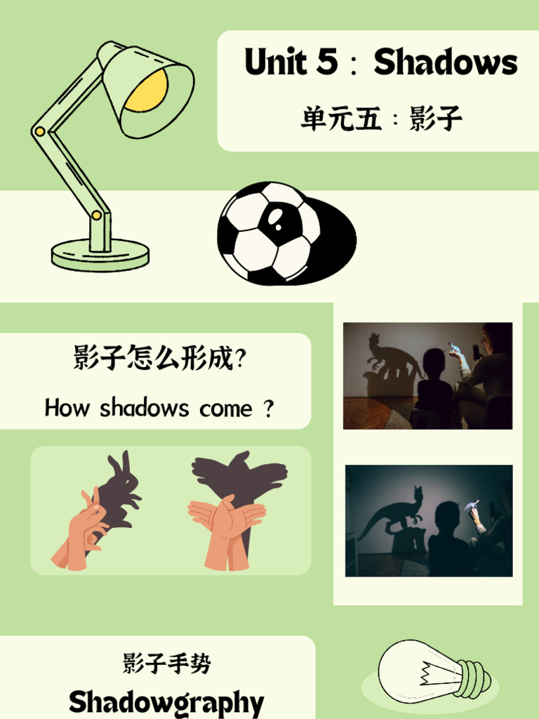 SHADOW 影子 | PDF