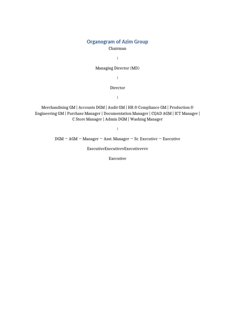 Azim Group Organizational Structure | PDF