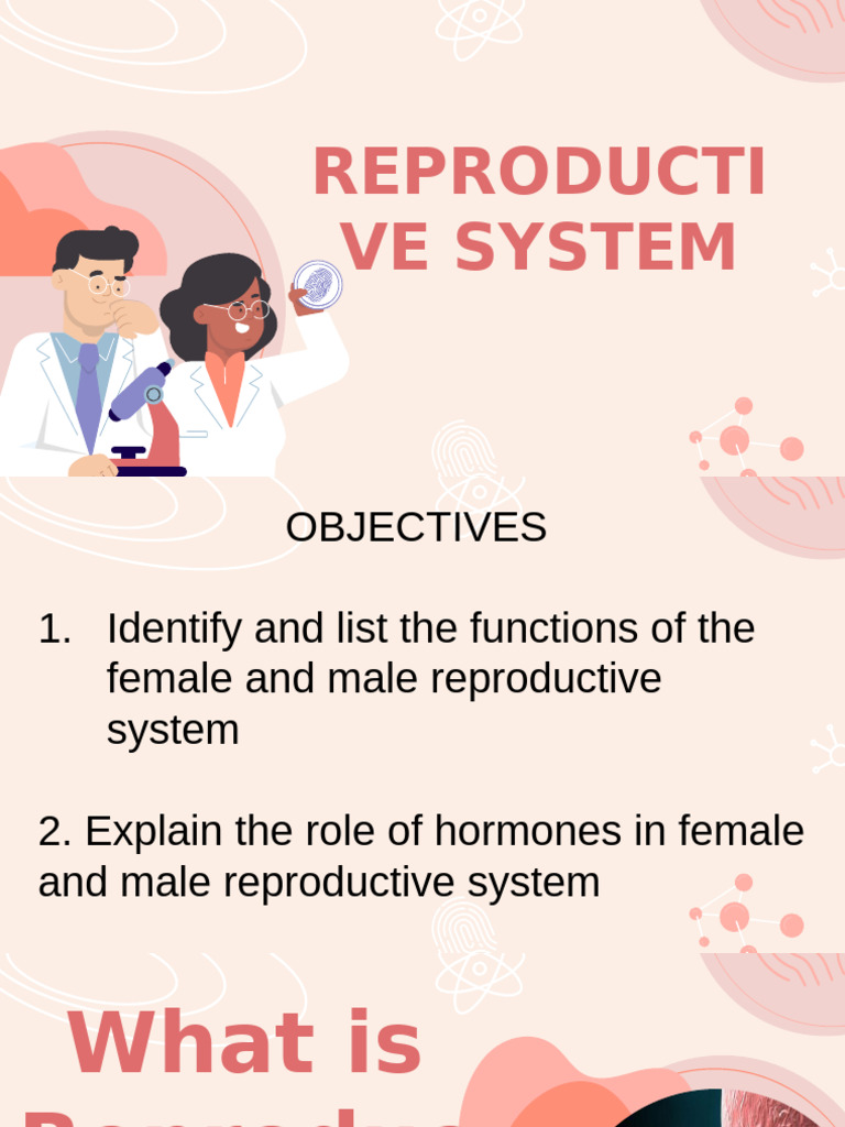 Functions of Male and Female Reproductive Systems | PDF | Reproductive ...