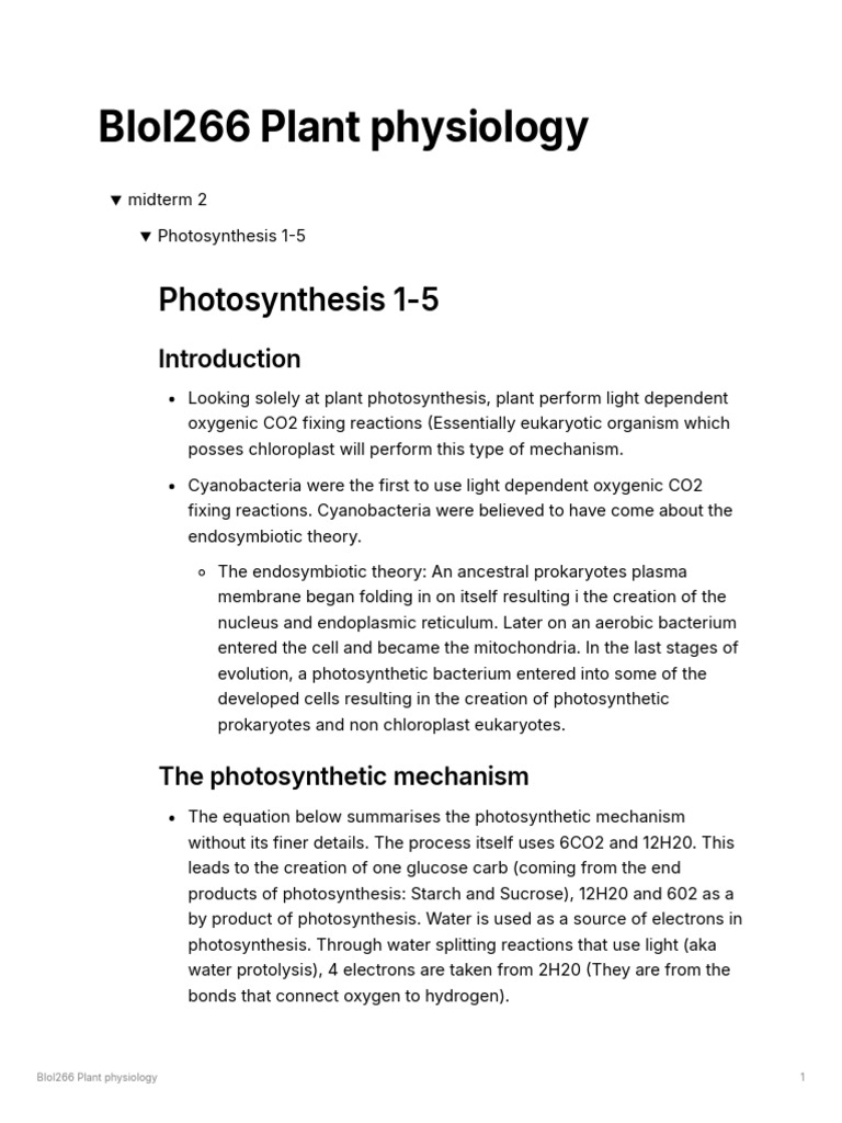Photosynthesis Mechanisms Explained | PDF | Photosynthesis | Auxin