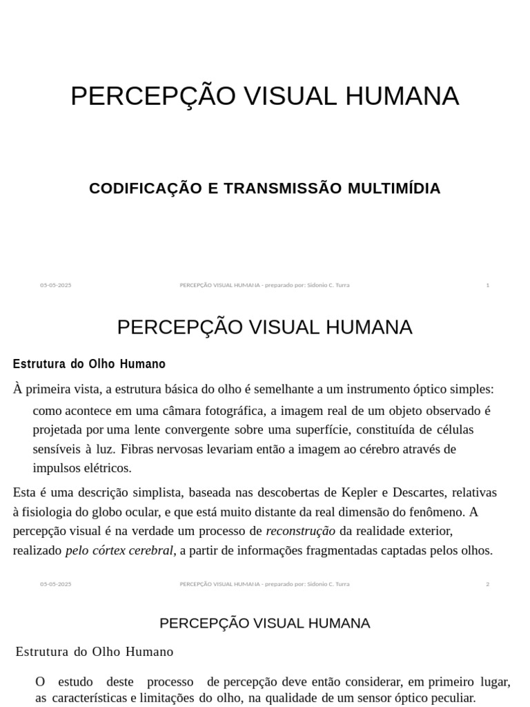 Limites da Percepção Visual Humana | PDF | Sistema visual | Olho