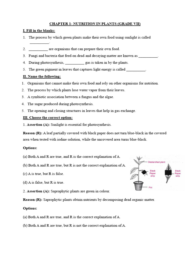 Nutrition in Plants - Assignment 2025-26 | PDF | Nutrition | Diet ...