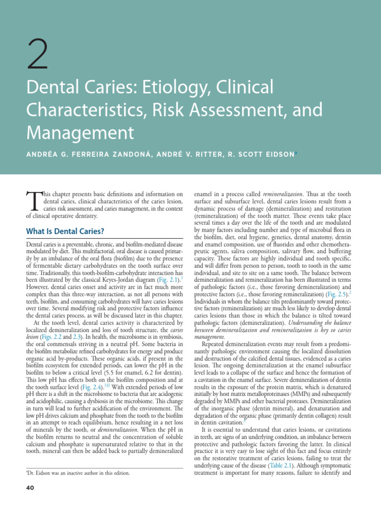 Understanding Dental Caries Management | PDF | Dentin | Human Tooth