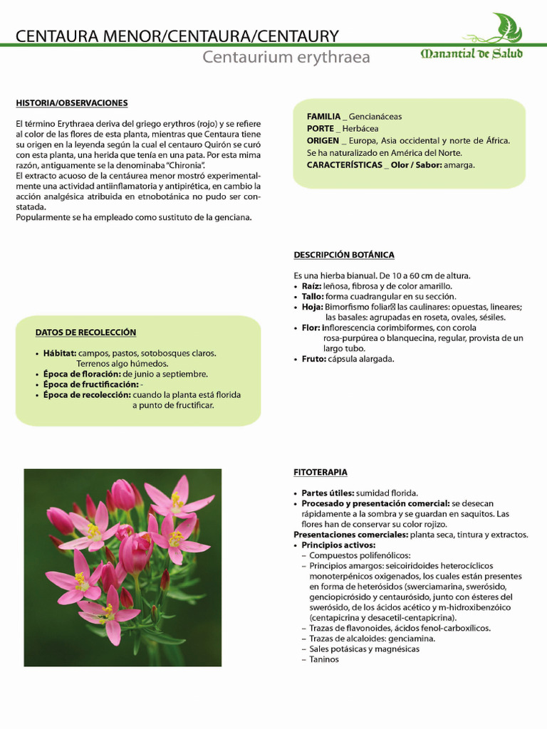CENTAURA | PDF