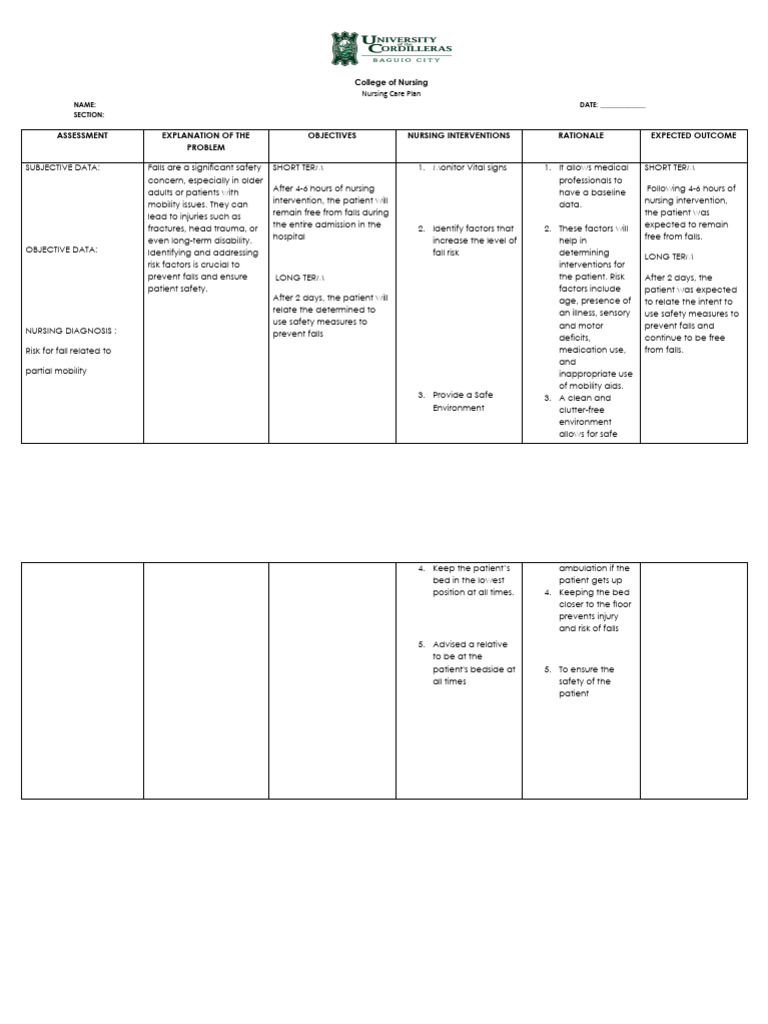 Nursing Care Plan for Fall Prevention | PDF | Nursing | Safety