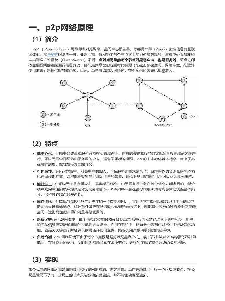p2p网络原理| PDF