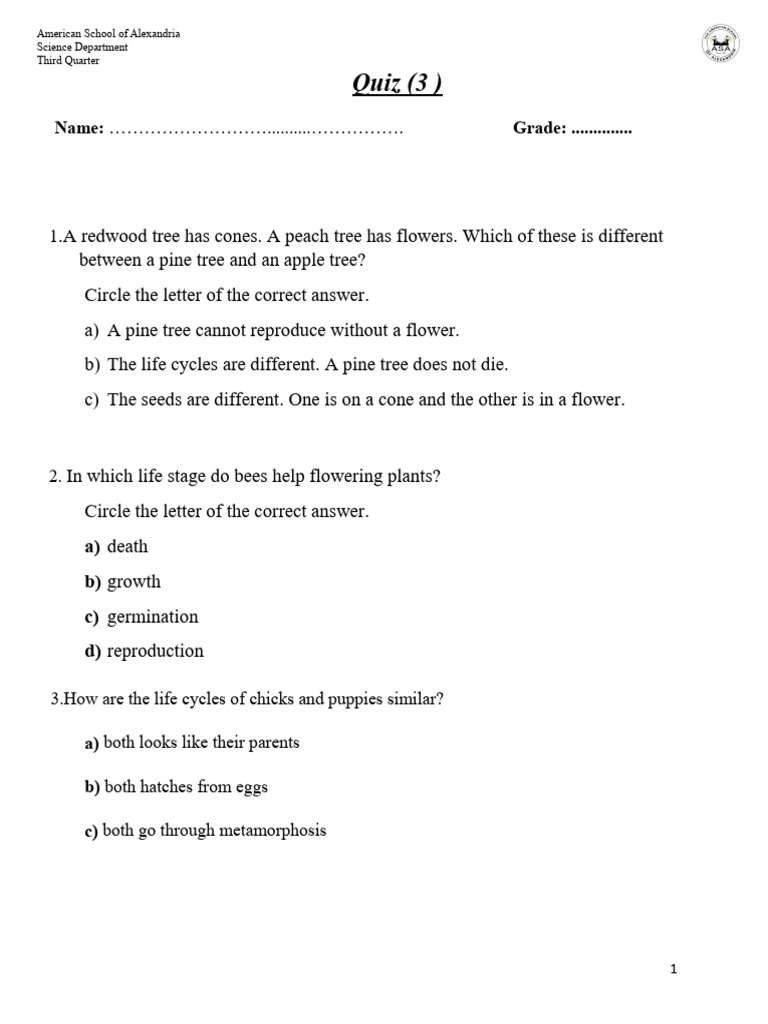 Quiz 3 Grade 3 1 1 Pdf