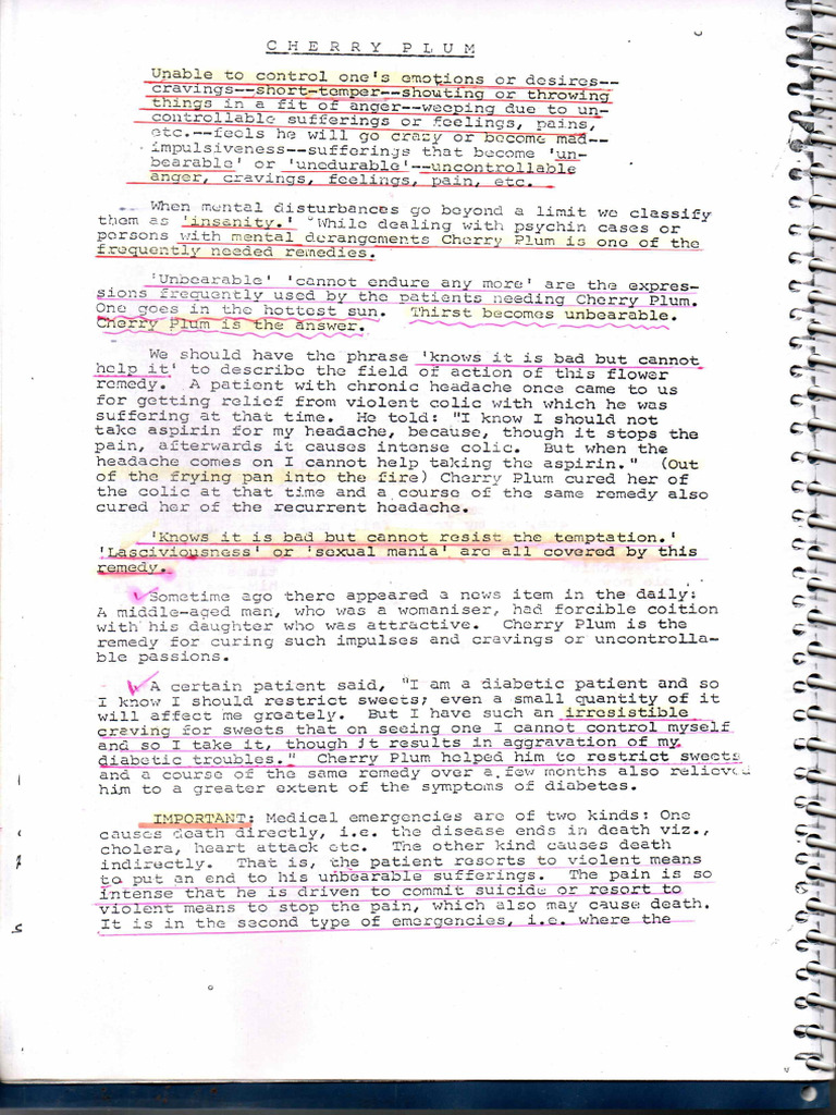 Cherry Plum | PDF