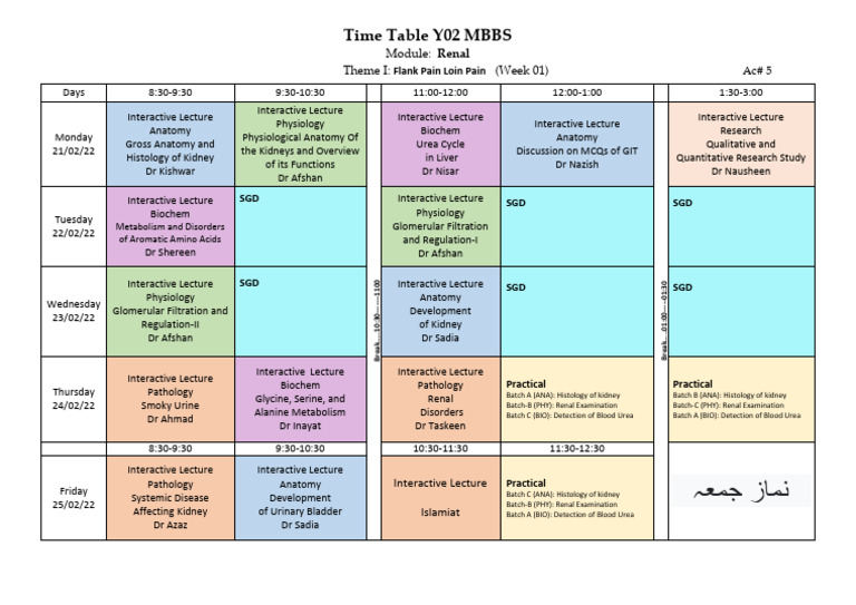 Y02 Time Table (Renal Week 1) | PDF | Kidney | Urine