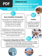 Dossier E33 Bac Pro ASSP : Guide Complet | PDF