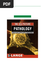 Robbins Basic Pathology, 10th Edition Textbook PDF Download | PDF ...