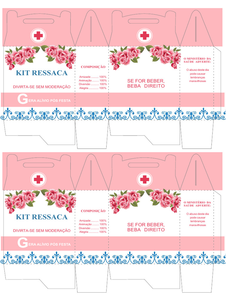 Kit Ressaca: Alívio Pós-Festa | PDF