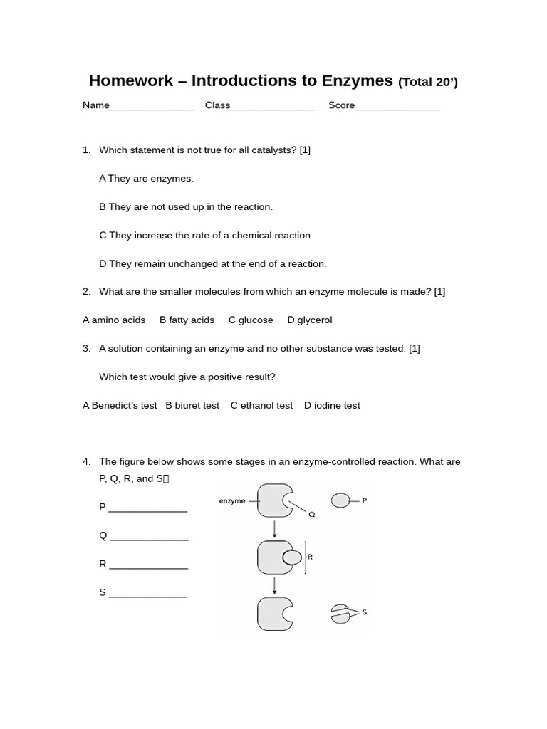Homework - Enzymes Introduction | PDF