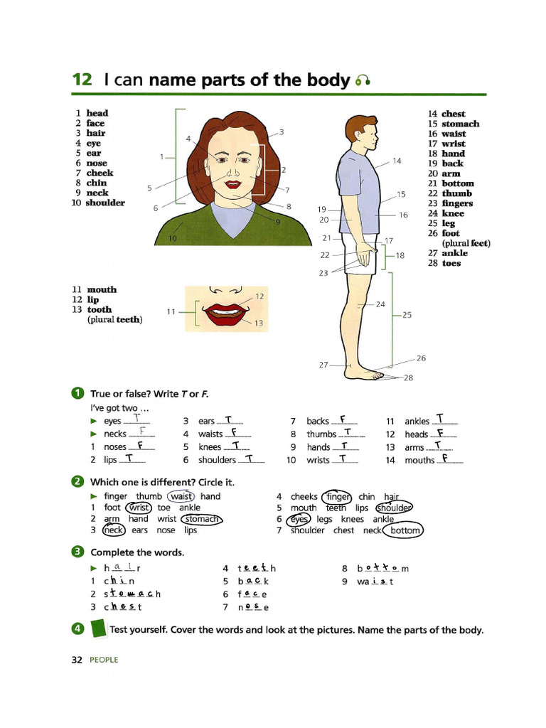 BODY 2 | PDF